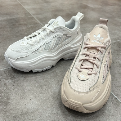 再入荷アイテム ☆ADIDAS☆再入荷！ │ABC-MART ショップ │ グランドステージ ブロメリア・エアープランツ