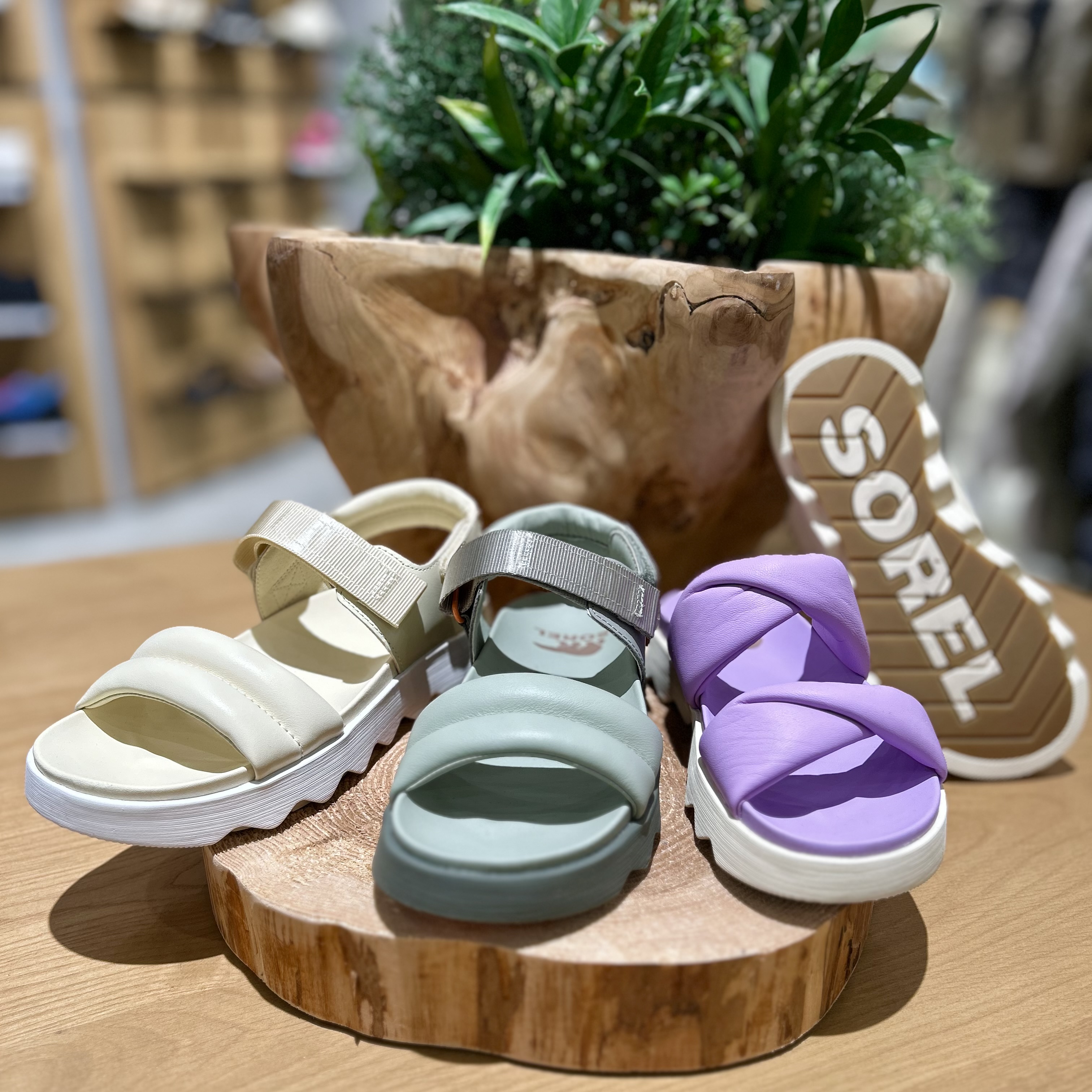 Sorel summer shoes cheap